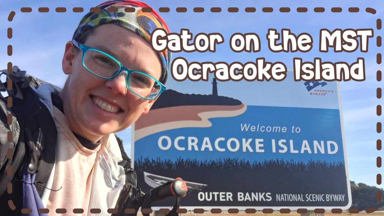 Gator on the Mountain to Sea Trail: Ocracoke Island 