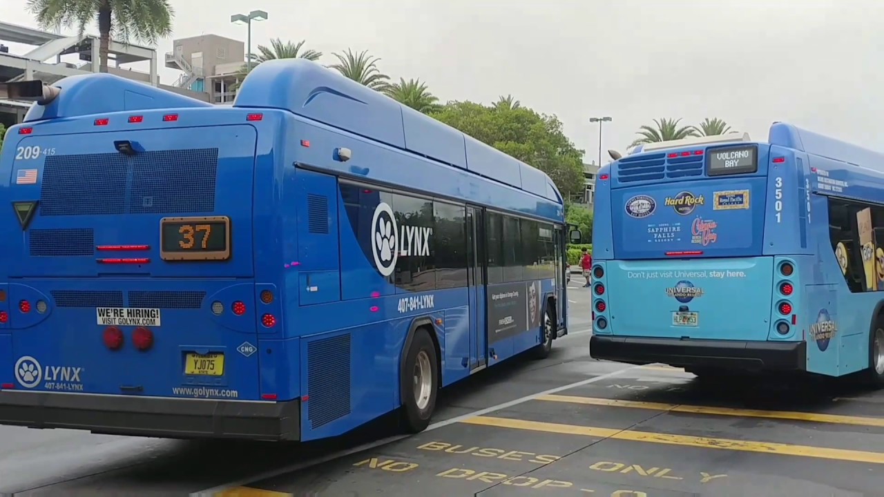 LYNX Orlando, FL Compilation