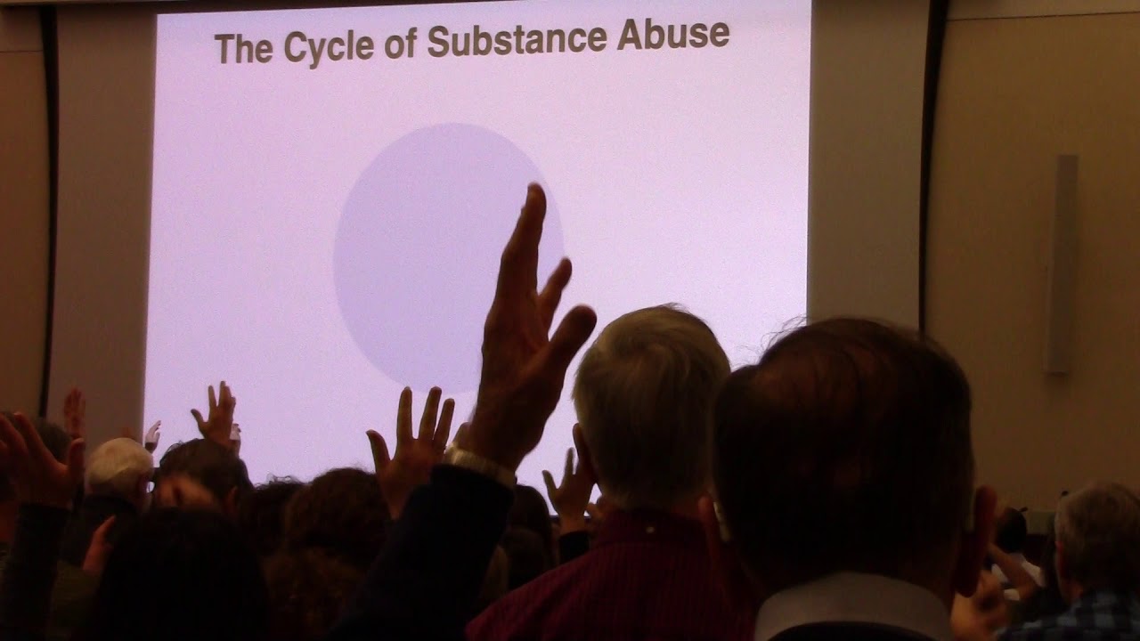 Jennifer Whistler - This is Your Brain on Drugs