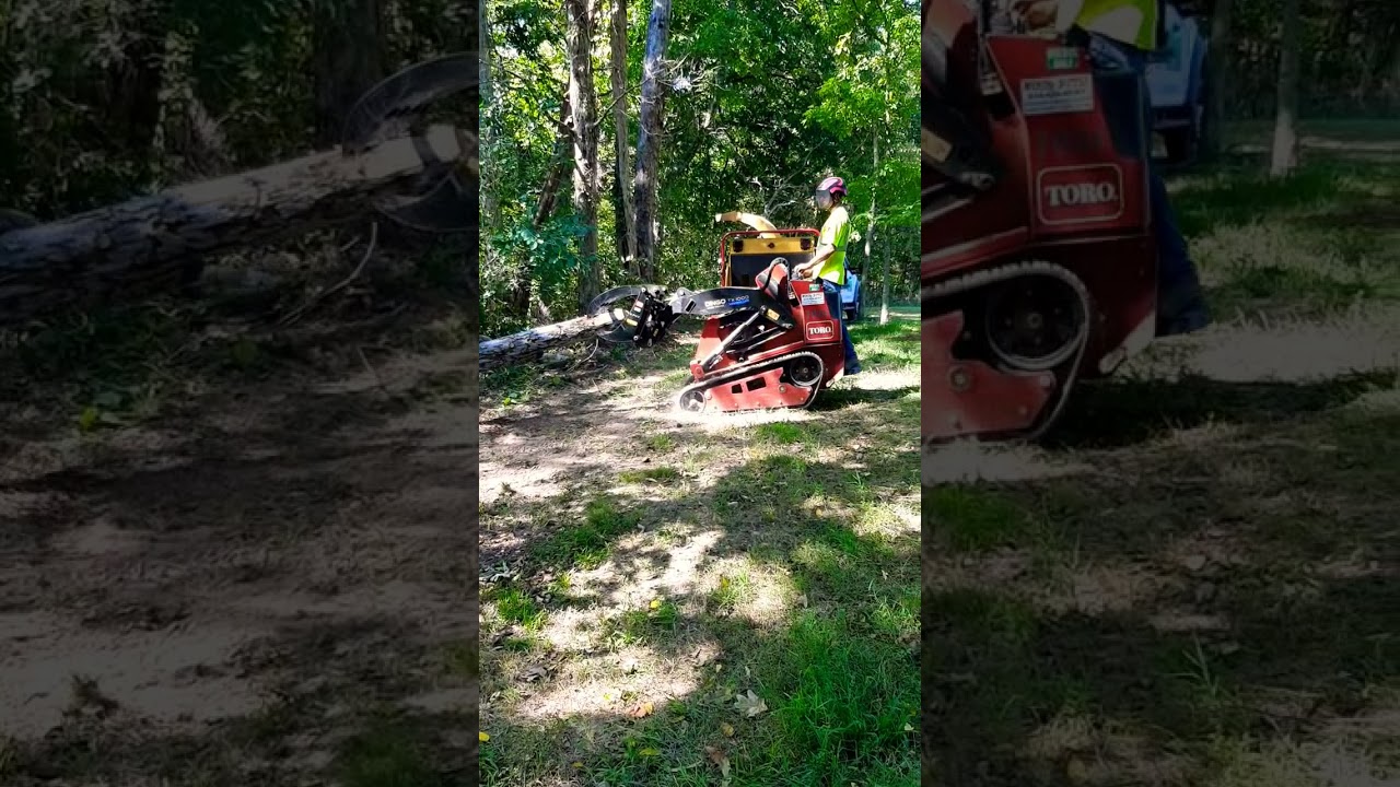 Toro Dingo Mini Skid Steer TX-1000 - Pulling A BIG Log Out With