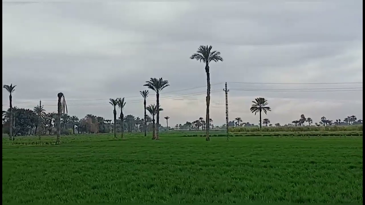 رحله بالريف المصرى وجماله