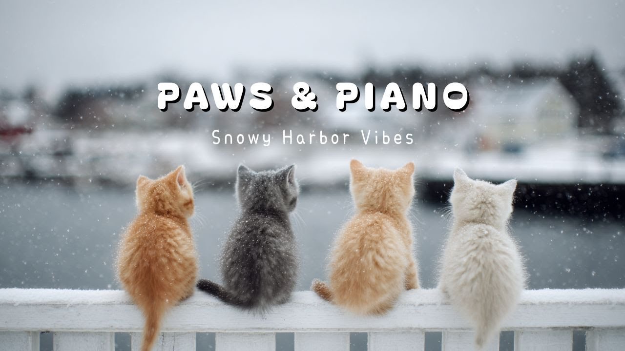 Piano Playlist I Удивительно уютный джаз в зимнем порту 🎹 Спокойное BGM для кафе (без авторских прав