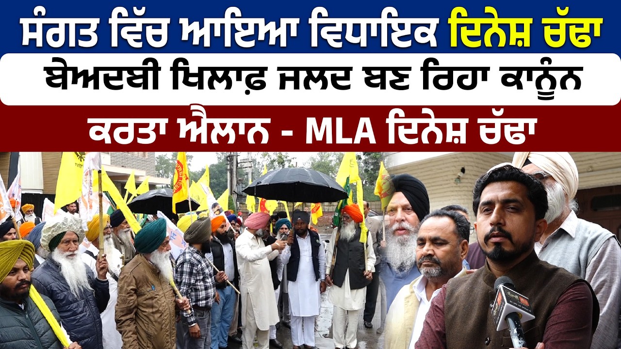 ਸੰਗਤ ਵਿੱਚ ਆਇਆ ਵਿਧਾਇਕ ਦਿਨੇਸ਼ ਚੱਢਾ ਬੇਅਦਬੀ ਖਿਲਾਫ਼ ਜਲਦ ਬਣ ਰਿਹਾ ਕਾਨੂੰਨ, ਕਰਤਾ ਐਲਾਨ...