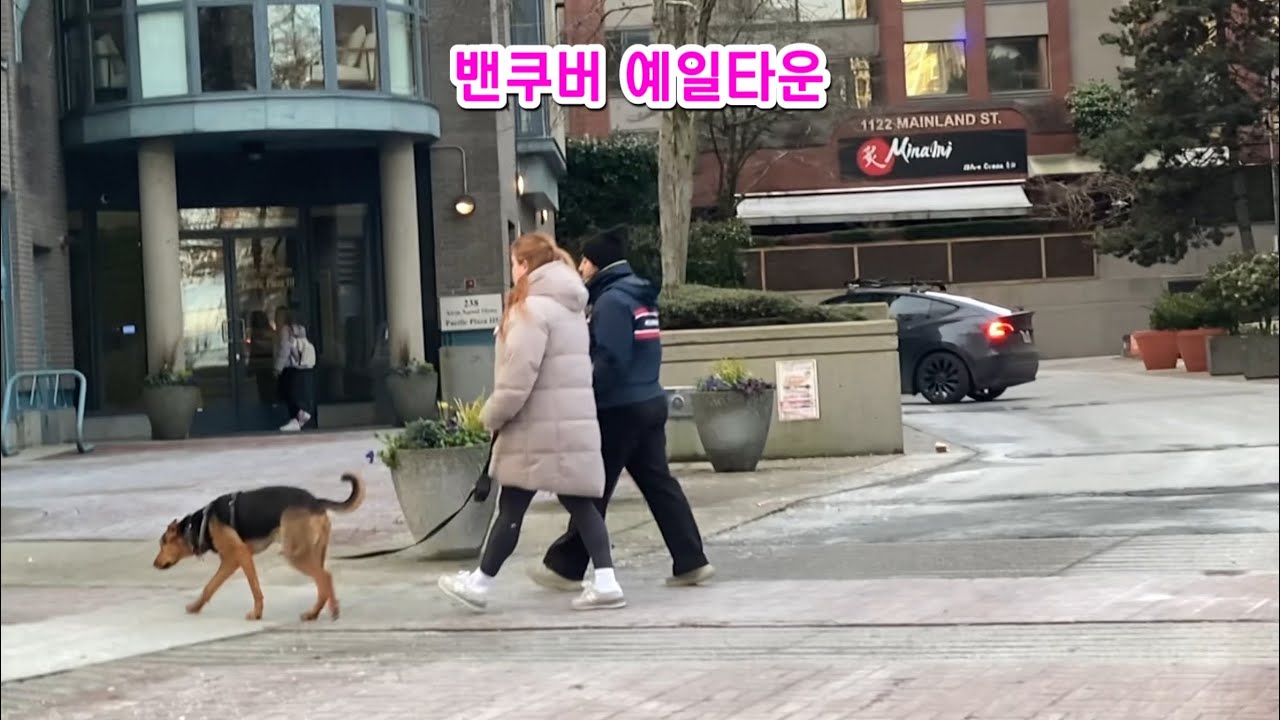 정비소에 차 맡기고, 개울가 산책, 화물차 지나는 철로 건널목, 밴쿠버 #다운타운,  밴쿠버 일상.  산책하는 #댕댕이들  ~^^
