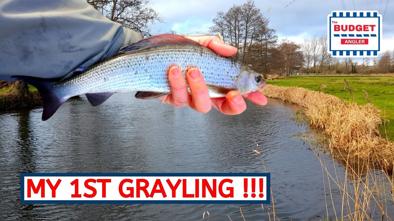 Grayling Fishing on The River Test | English Chalk Stream Centrepin Reel