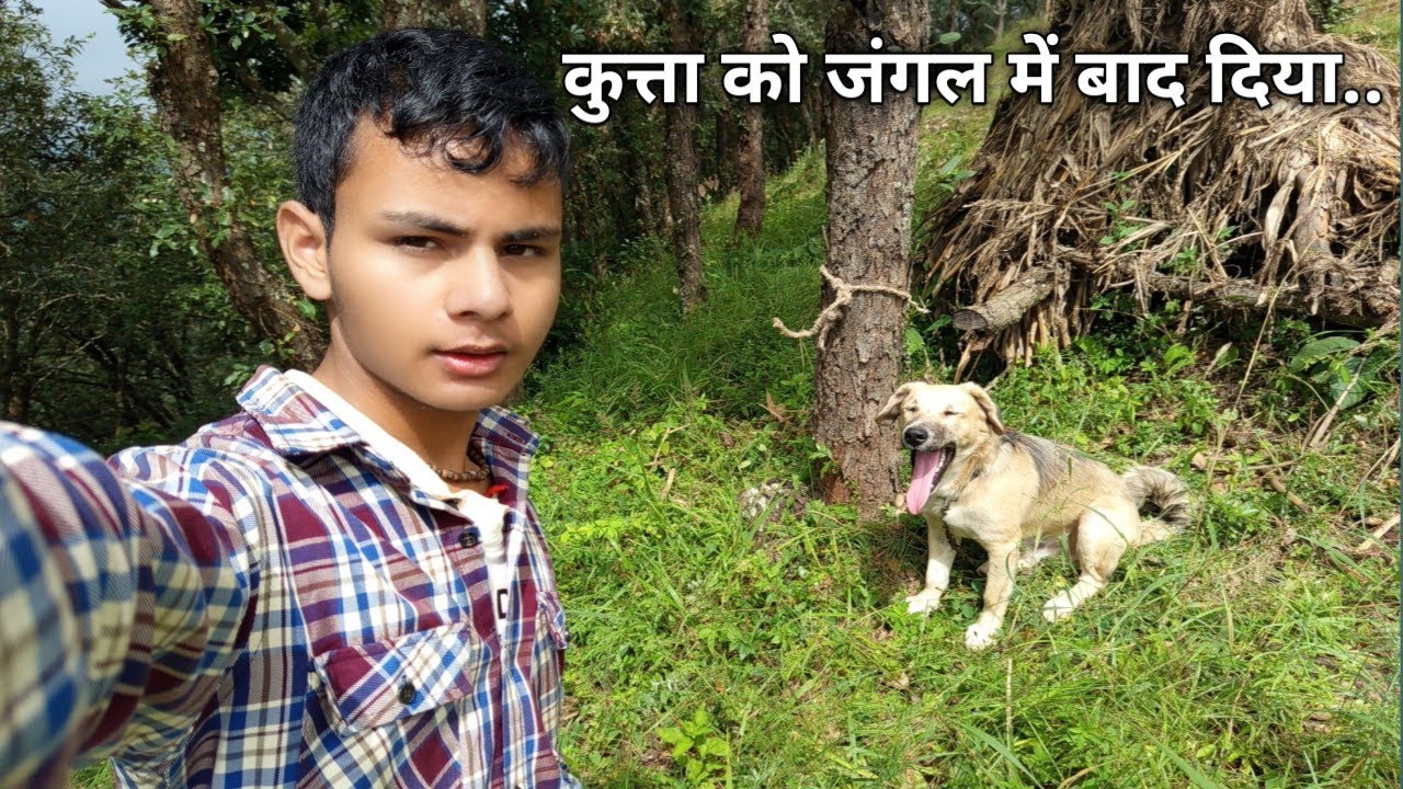 आज कुत्ता को जंगल में बाद दिया ||Pahadi lifestyles vlogs, Mountain lifestyles vlog.