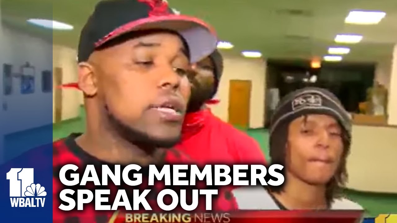 (2015) Gang members: We did not make truce to harm cops