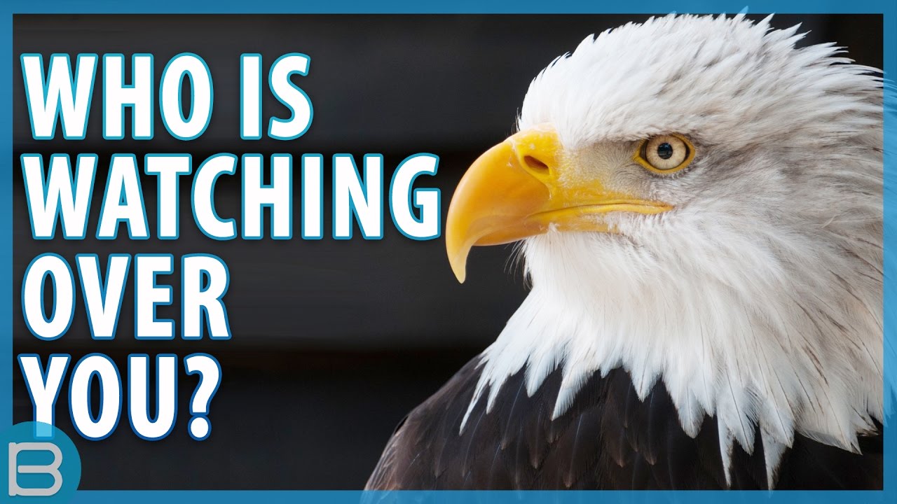 Which Animal Is Watching Over You?