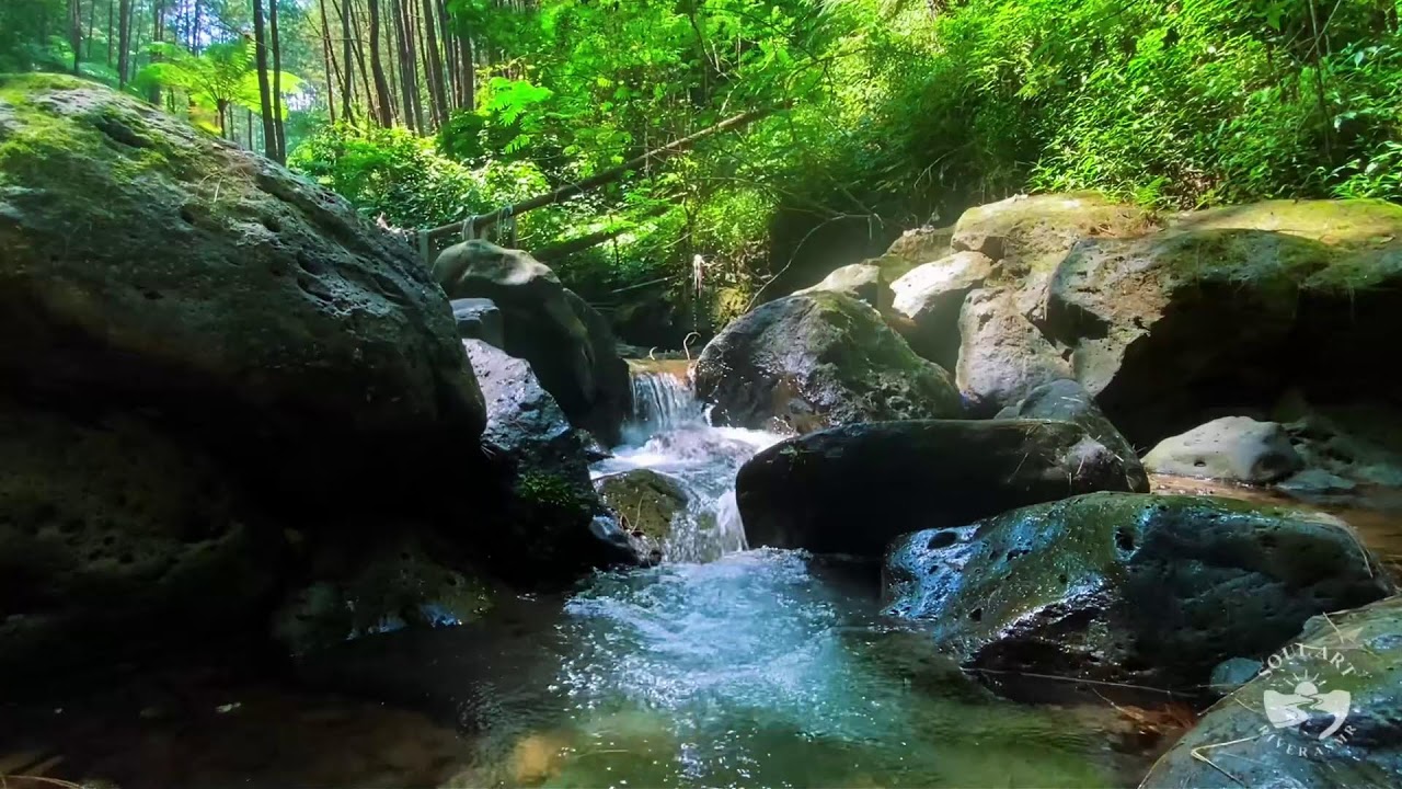 River Sounds & waterfall Sounds for Sleeping | Nature Stream for Relaxing & Stress Relief. #river 4