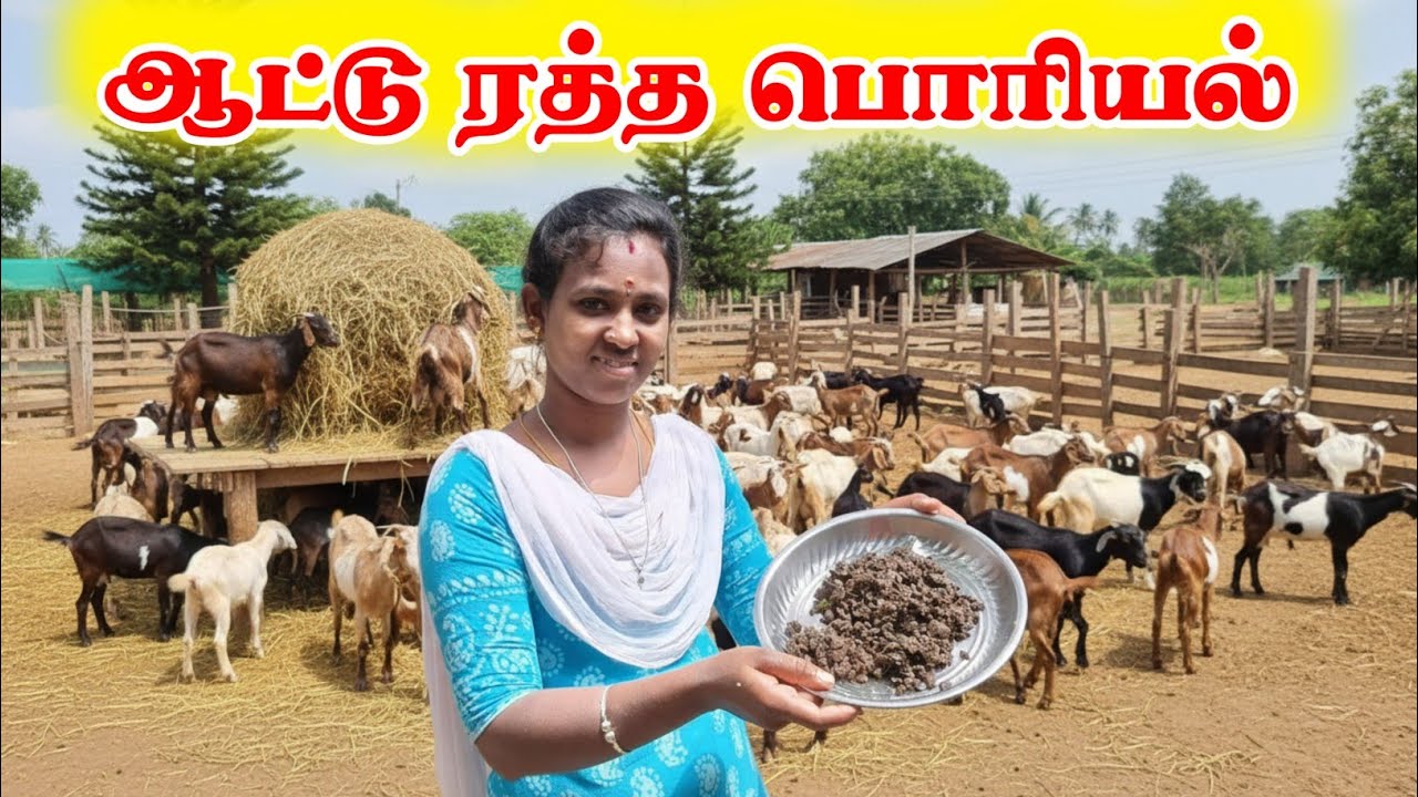 💥 ஆட்டு ரத்த பொரியல் ரெசிபி 🥩 Attu Ratha Poriyal Recipe In Tamil 🩸 Selva Nisha Vlogs 