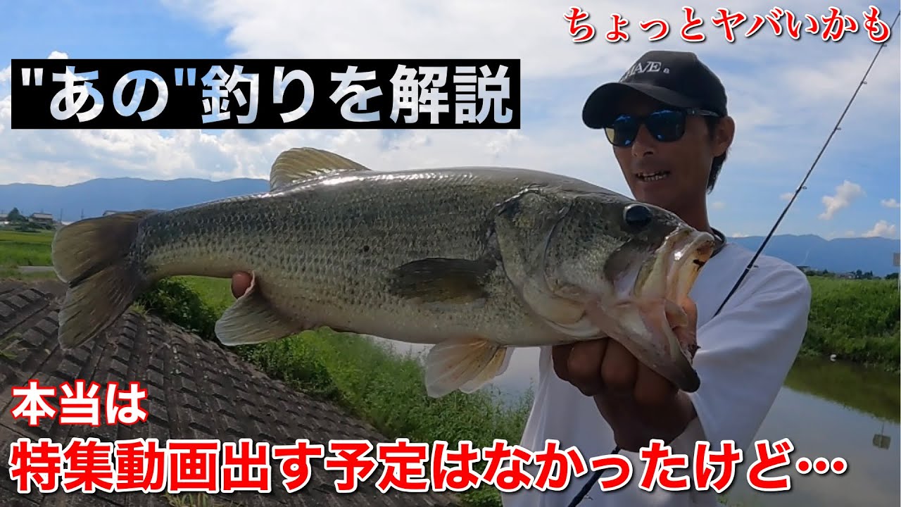 【最近最も釣っている釣り】釣りたい方は全部。忙しい方は最後の５分だけご覧ください。【水の旅＃ ２３０】