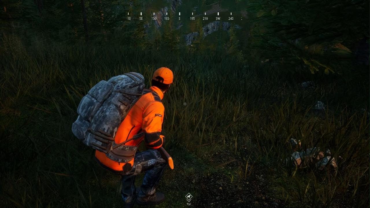 Hunting Simulator 2
