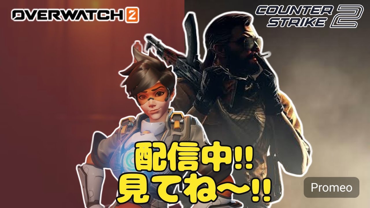 そのうち酒飲んでのんびりやる【CS2/OW2】