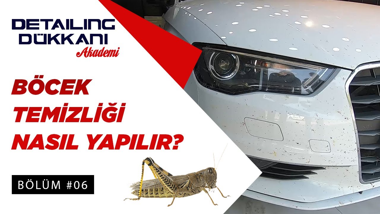 Böcekler Neden Temizlenmeli? | Detailing Dükkanı’nda “Nasıl Yapıyoruz