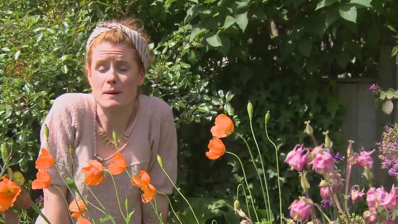 How to protect your hands in the garden - with Alys Fowler