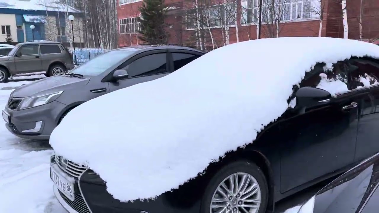 Вернулся на север, из тепла в холода)