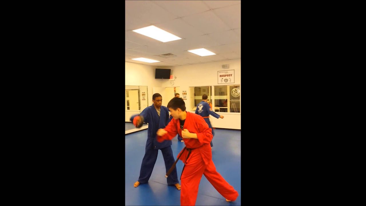 Practicing Martial Arts in Hamilton Mill Georgia