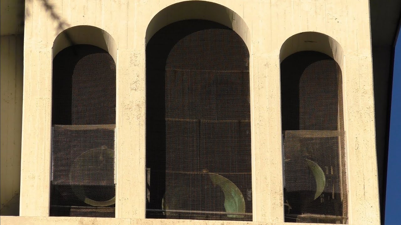 Le Campane di Legnano (MI) - Mater Orphanorum - Plenum