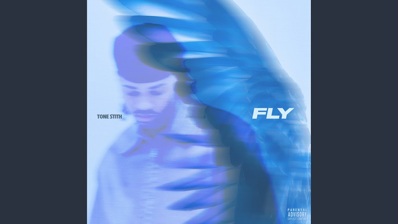 Fly