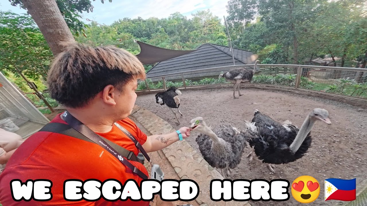 We Escaped to Teomatenzos Resort | Room Tour, Golf Cart Ride, Boodle Feast & Bonfire #drtbulacan 