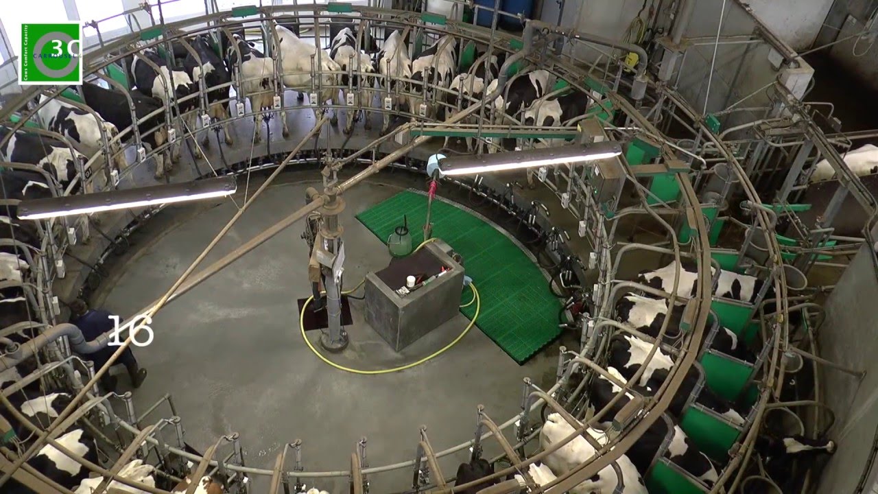 Ziel Heida te Nijelamer   GEA 36 Stands 3C Carrousel door Bosma Melktechniek 2