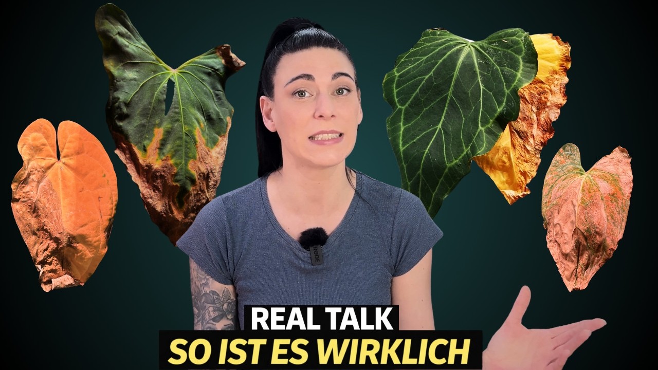 Totalausfall? Gelbe Blätter, Wurzelfäule und Spinnmilben So LEIDEN meine Zimmerpflanzen UNTER MIR 😰