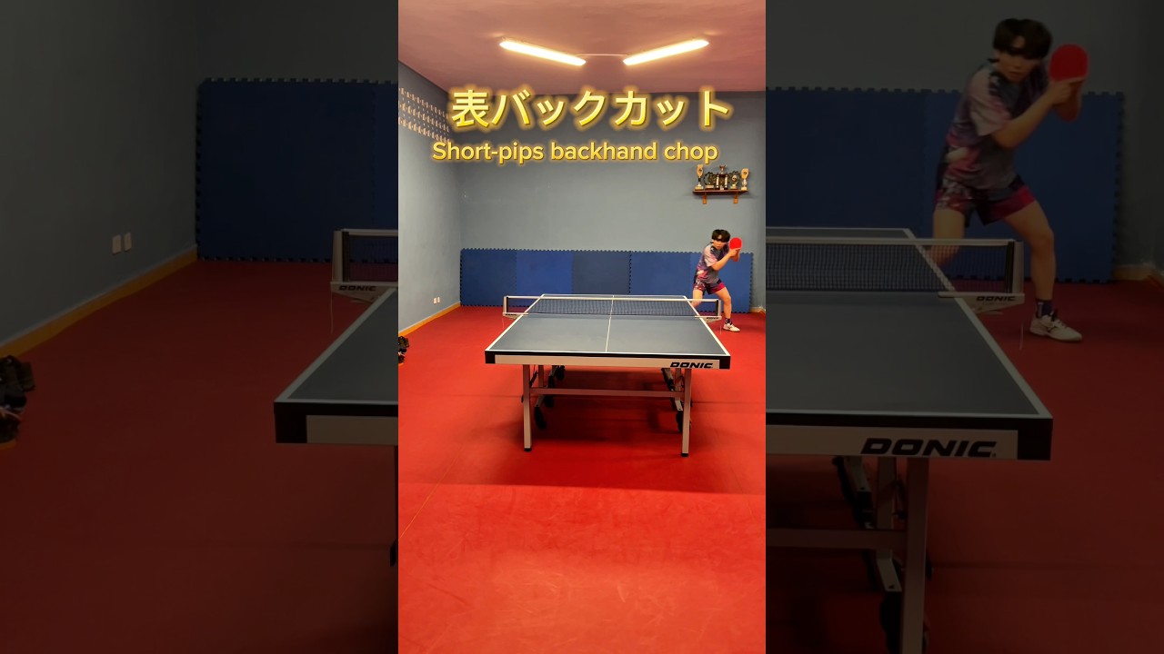 short-pips backhand cut(chop) 表ソフトのバックカット 