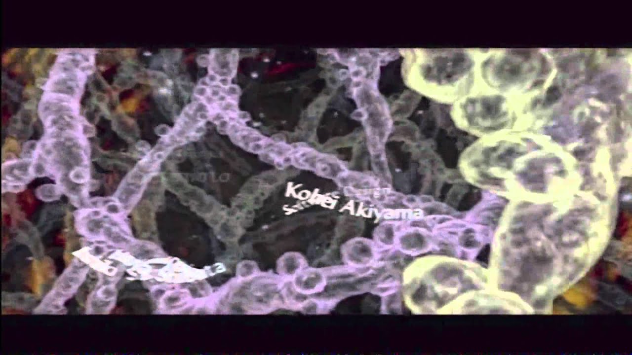 Resident Evil Outbreak Intro HD