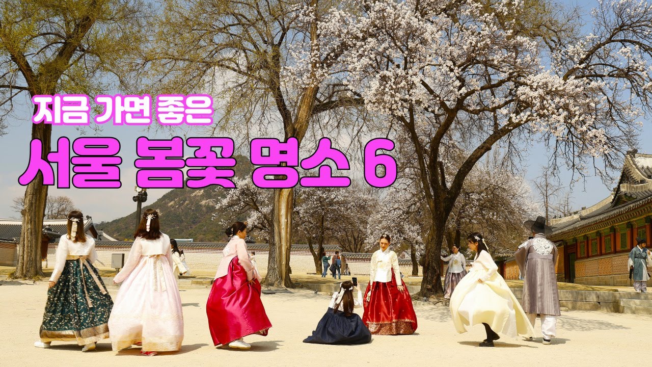 서울 봄꽃 명소 6, 4월초  지금 가면 좋은 곳,  #서울봄꽃명소,