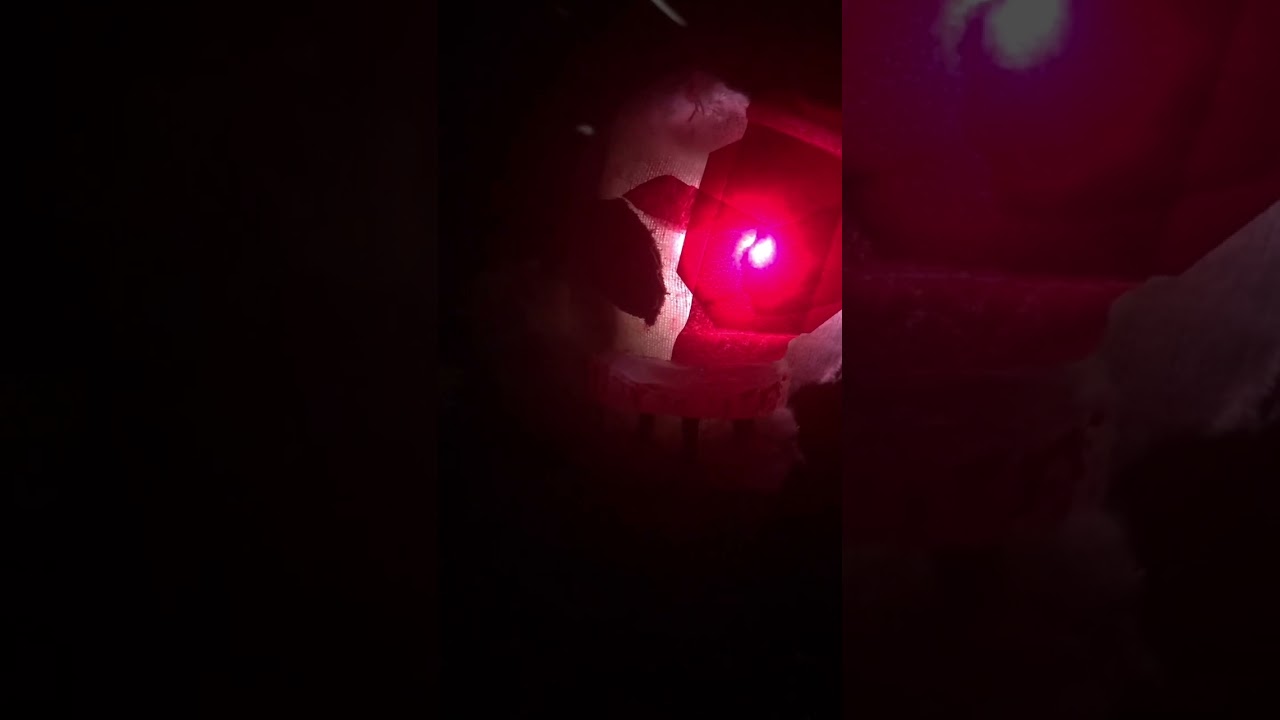Exp 1006 vhs tape