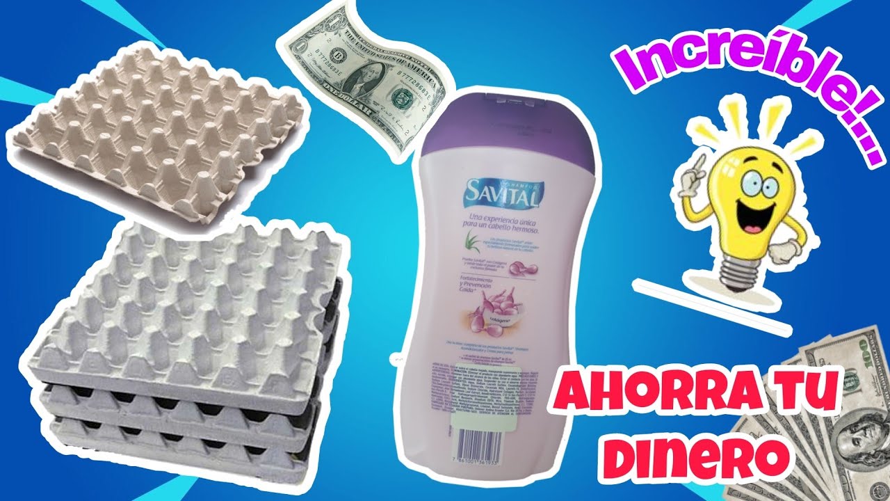 Mira lo que puedes hacer con BOTELLA de SHAMPOO y CARTÓN DE HUEVO. Nadie sabrá lo que guardas dentro
