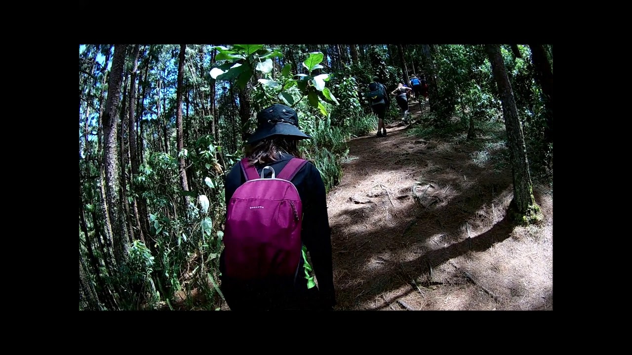 Aventura Envigado - Aventureros PAL Antioquia