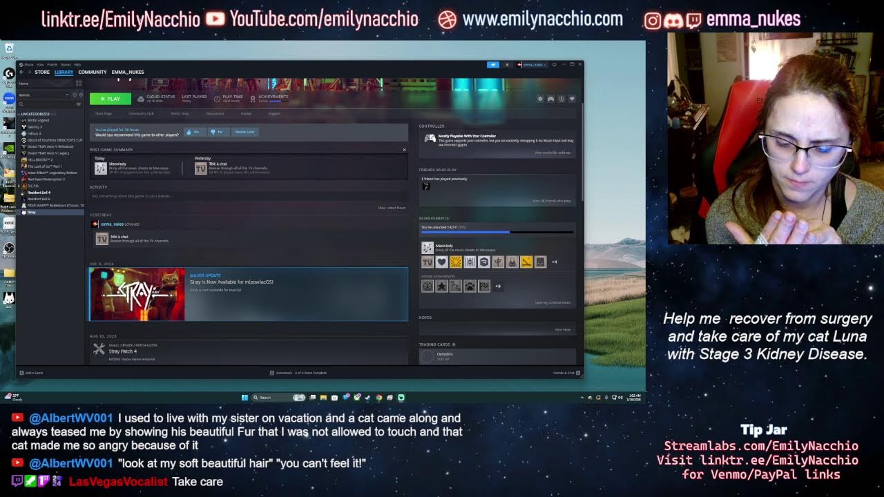 Recovering from surgery & fundraising for my sick cat. Keep me company!