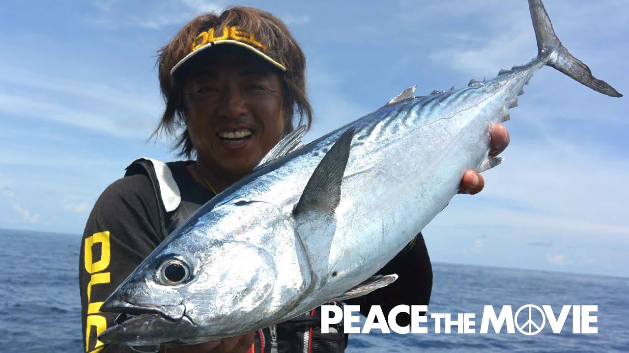 PEACE THE MOVIE #29「暑中の沖縄フカセ釣り！」沖縄県の旅・慶良間諸島 前編（２日目）/平和卓也(760)