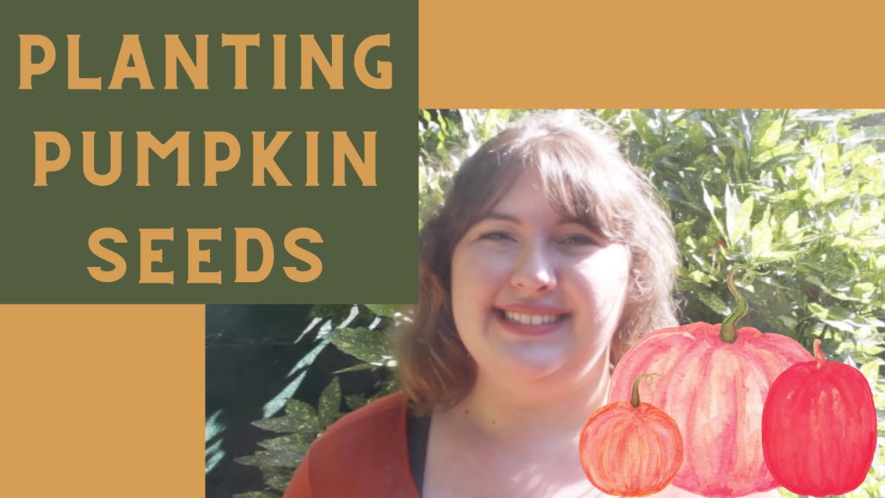 The Pumpkin Garden with Ms. Lauren