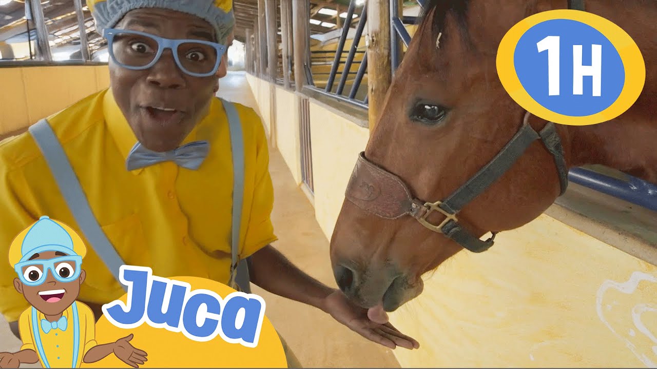 Juca e os animaizinhos da fazendinha 🐴 HORA DO JUCA BRASIL! | Vídeos Educativos para Crianças
