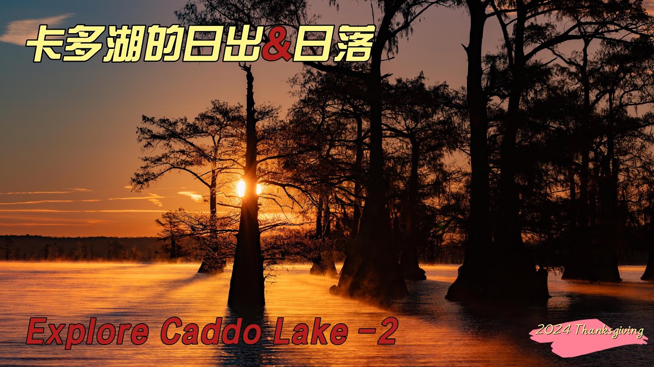 探秘卡多湖 2 - 卡多湖的日出与日落，天光云影，幻梦的色彩，犹如爱丽丝仙境  ｜ Caddo Lake | 自驾游