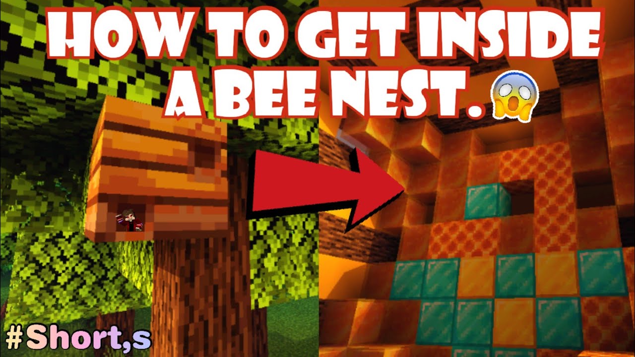 How to get inside a bee nest in Minecraft [No mod's ❌] #short's