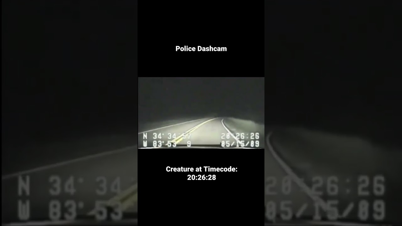 Bigfoot Caught on Police DashCam! #bigfoot #dashcam #