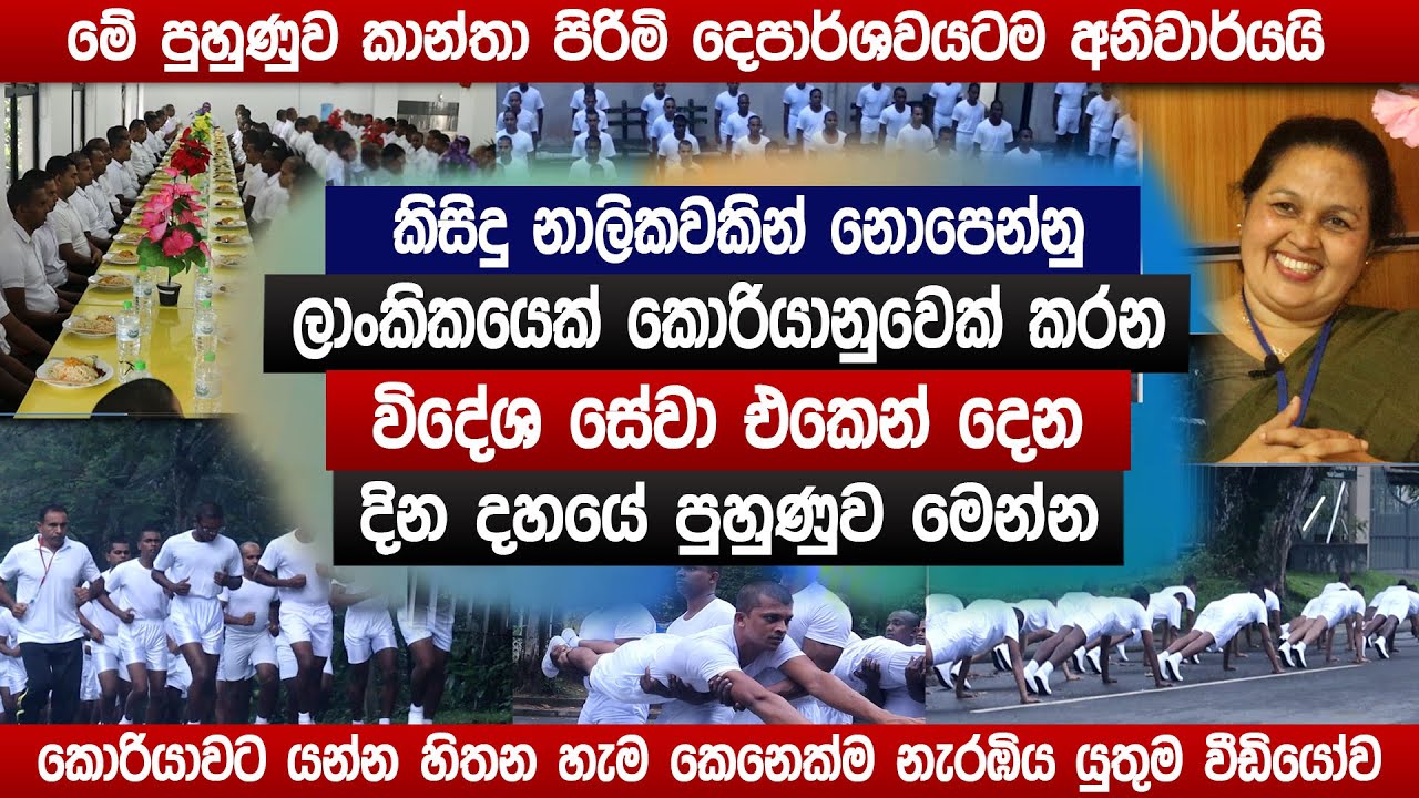 කොරියාවේ රැකියාවකට මේ පුහුණුව අනිවාර්යයි | කාන්තා පිරිමි දෙපාර්ශවයටම | korean jobs 2024 | sinhala