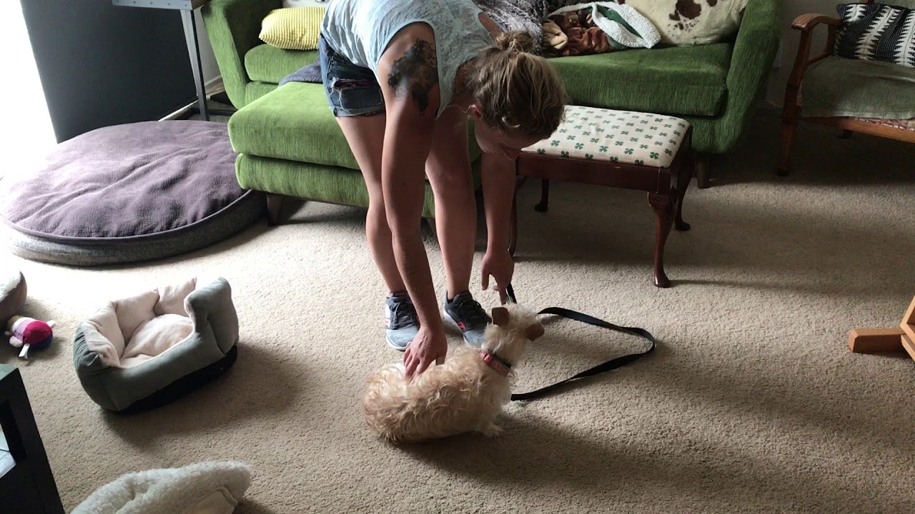 Rosie Conditioned relaxation exercise