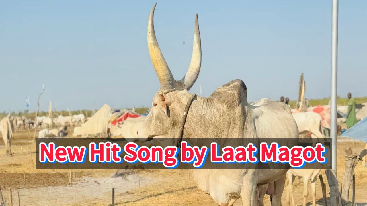 Rem E Ngeny by Laat Magot