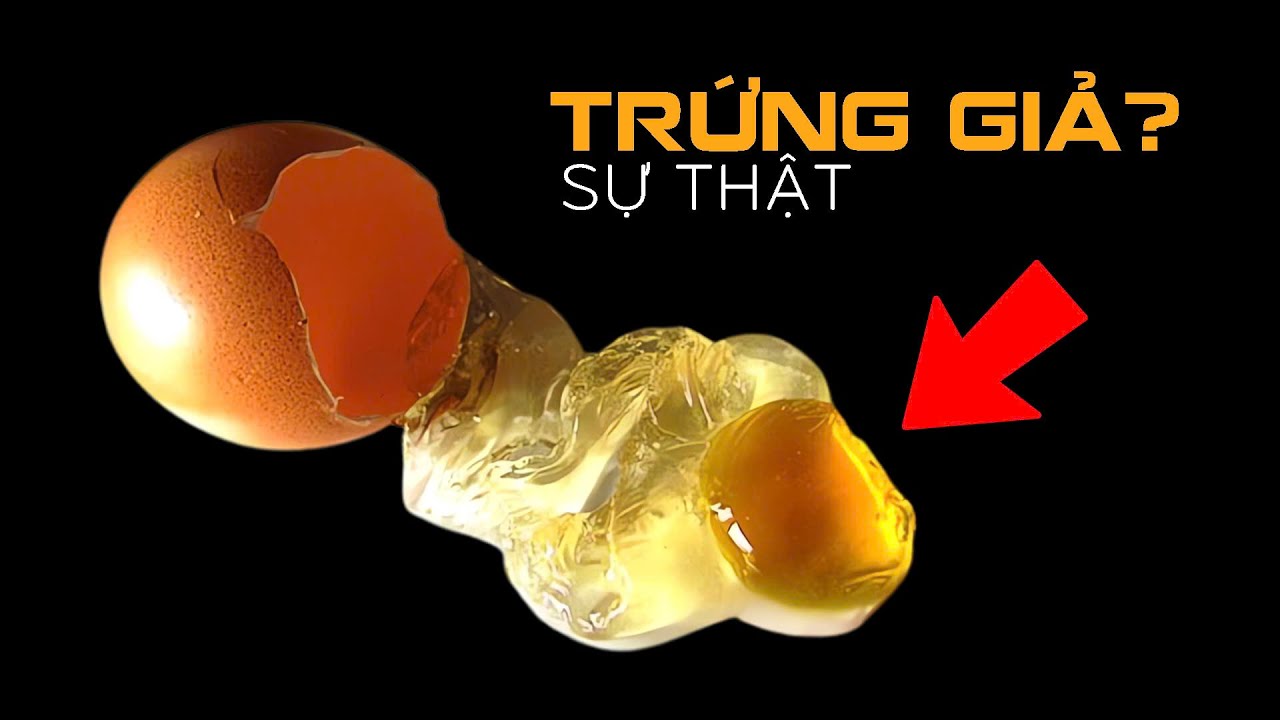 #1006 Sự Thật Về Trứng Giả - Gạo Giả Gây Hoang Mang!!!