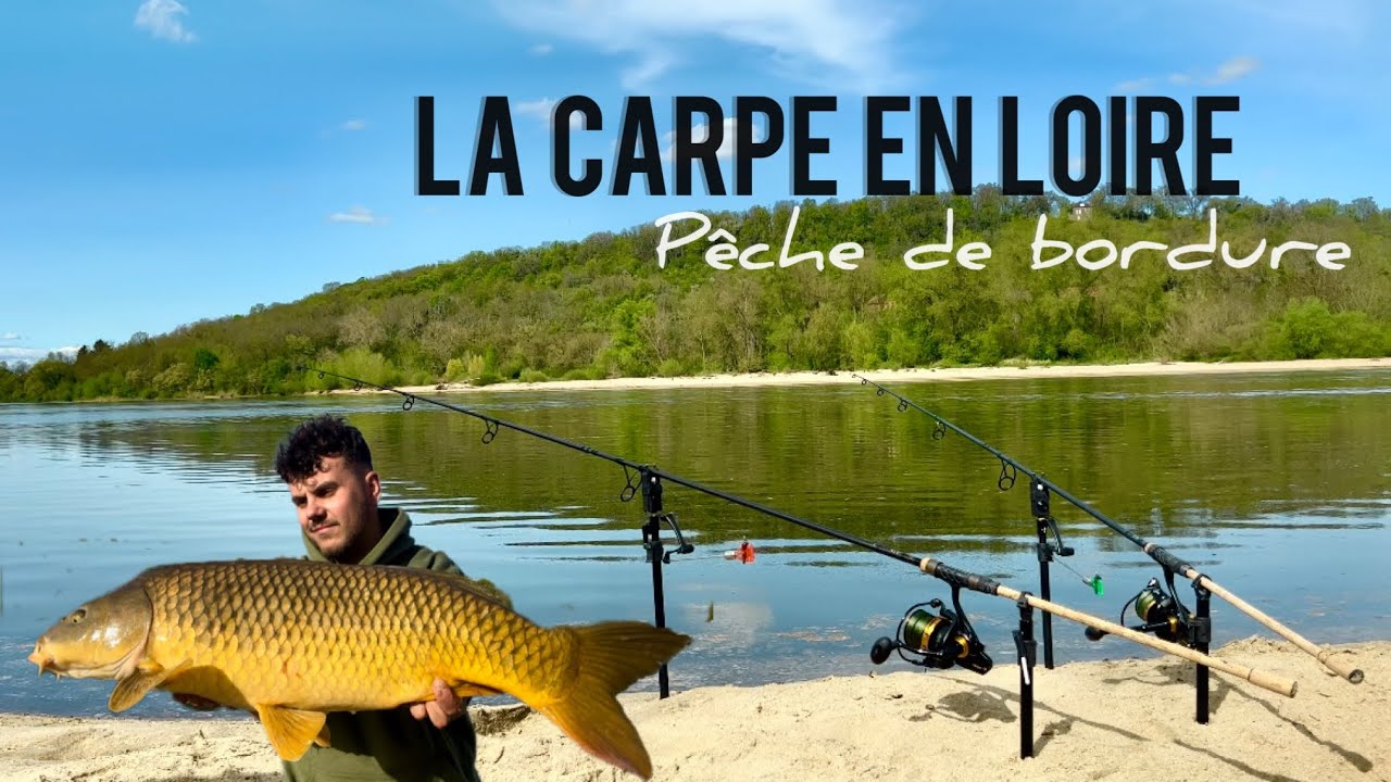 Pêche de la Carpe : Ce poste cache de très jolis poissons