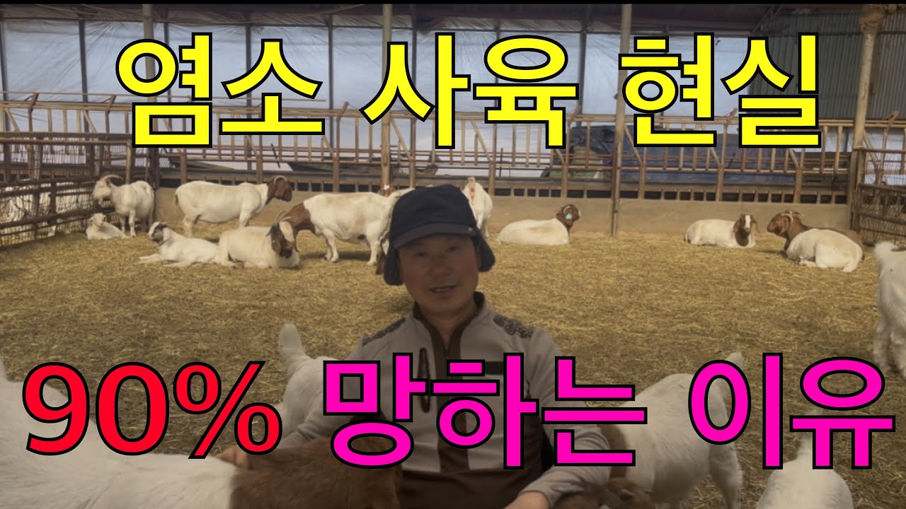 염소 사육, 왜 90%가 실패할까? 시작 전 반드시 알아야 할 9가지