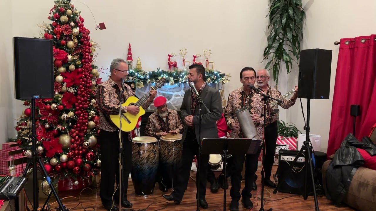 Los Inolvidables - Musica Jibara 2024 #12