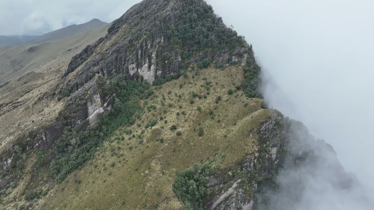DJI 0432
