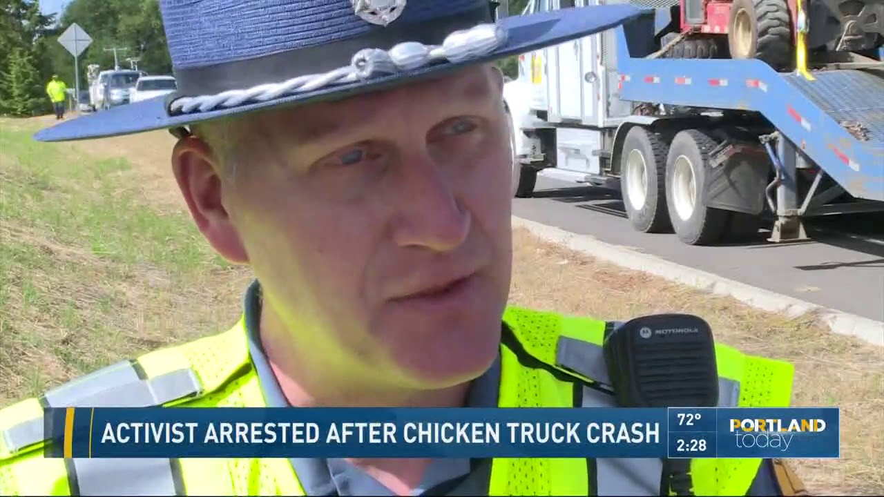 Activist arrested after chicken truck crash