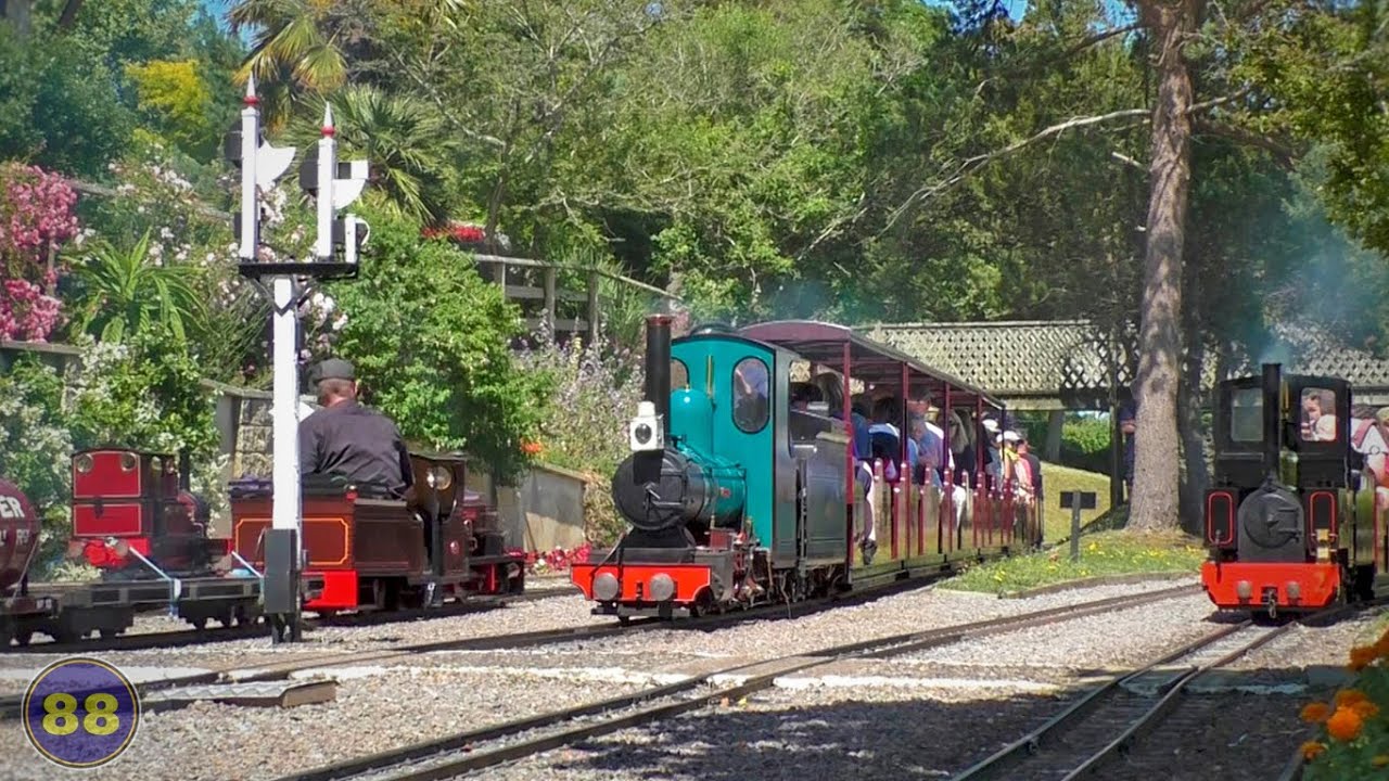 Beer Height Light Railway  - Otter 20th Anniversary Steam Gala - 29/06/2024