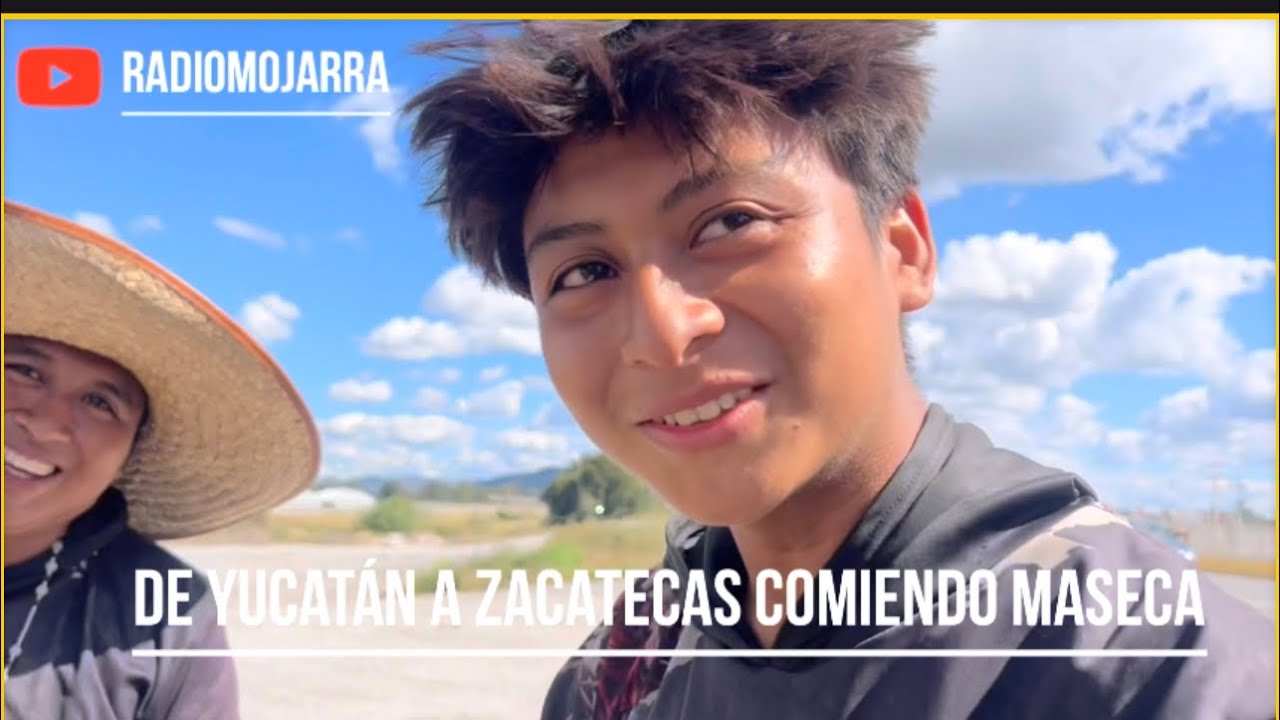 Desde Yucatán a Zacatecas solo comiendo Maseca . 